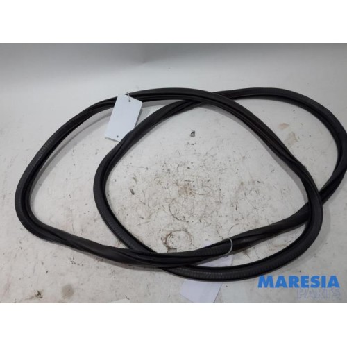Peugeot - 308 - Front door seal 4-door, left