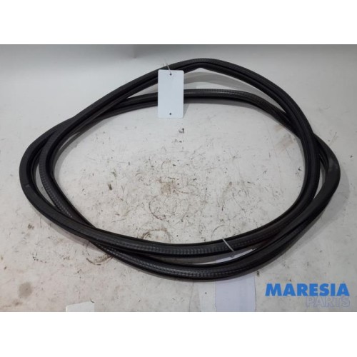 Peugeot - 308 - Front door seal 4-door, right