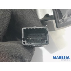 Renault - Captur - Rear view mirror