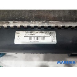 Citroen - DS4 - Radiator