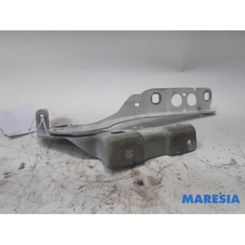 Citroen - DS4 - Bonnet Hinge