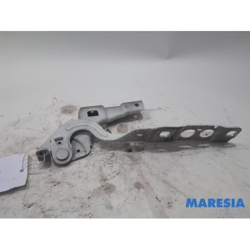 Citroen - DS4 - Bonnet Hinge