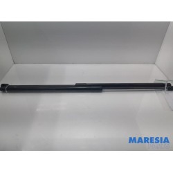 Citroen - C4 Picasso - Set of tailgate gas struts
