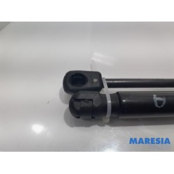Citroen - C4 Picasso - Set of tailgate gas struts