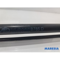 Citroen - C4 Picasso - Set of tailgate gas struts