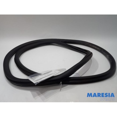 Peugeot - 2008 - Portierrubber 4Deurs links-achter