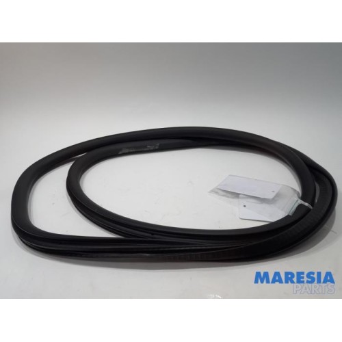 Peugeot - 2008 - Portierrubber 4Deurs rechts-achter