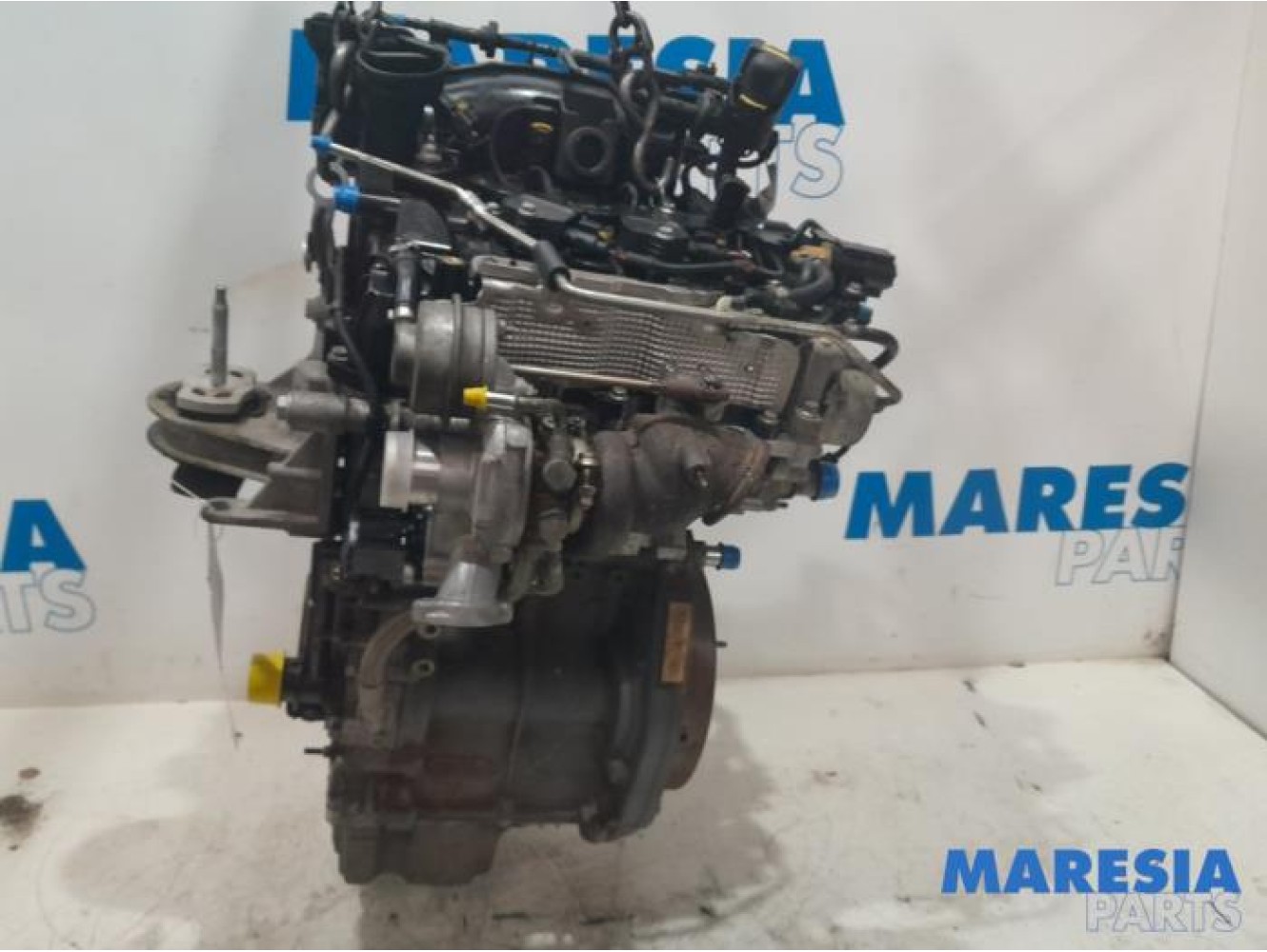 Fiat - 500 - Motor