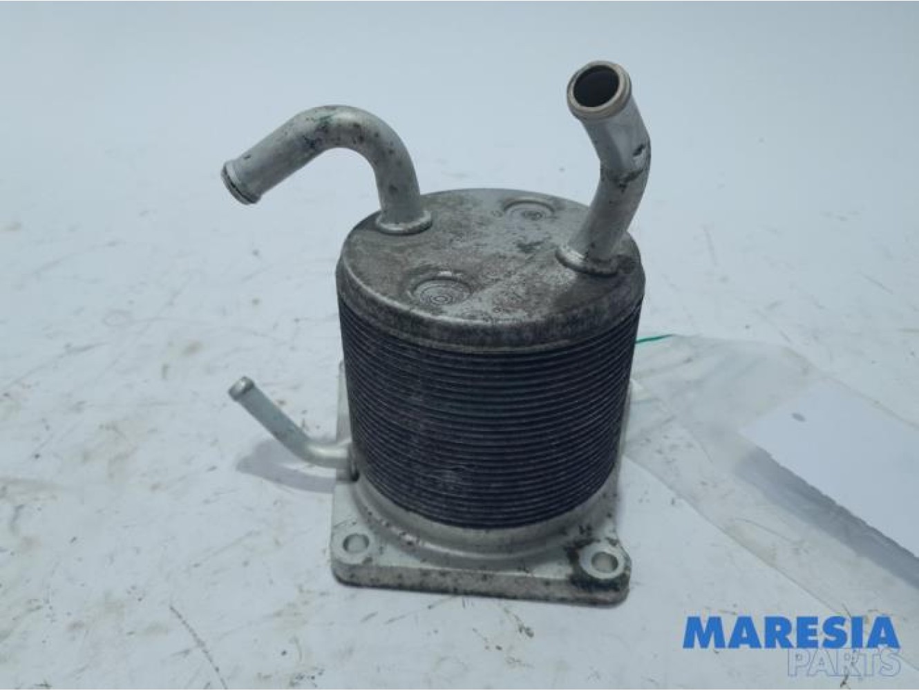 Renault - Scenic - Oil cooler