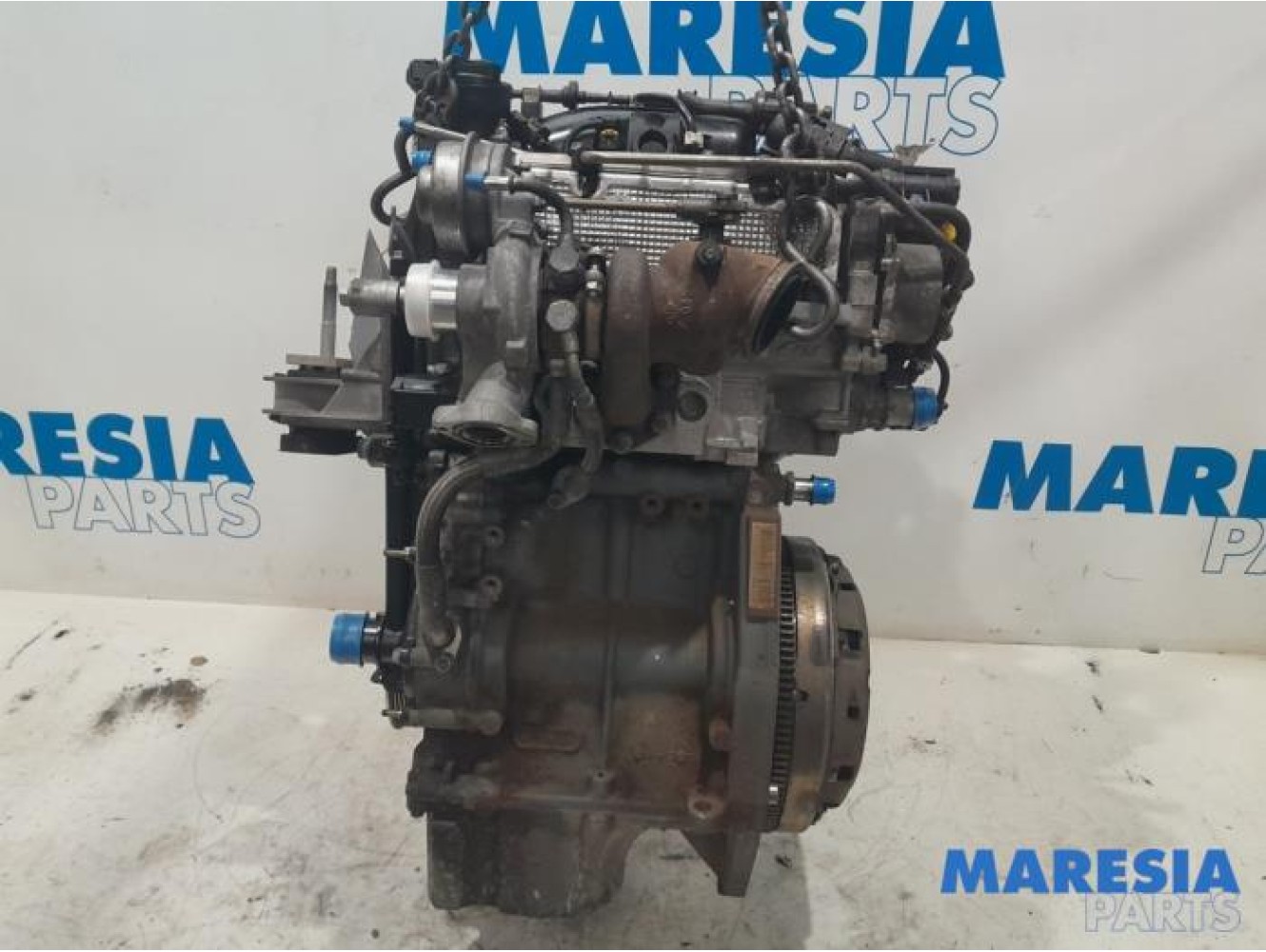 Fiat - 500 - Motor