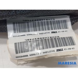 Citroen - C4 Picasso - Airbag hemel links