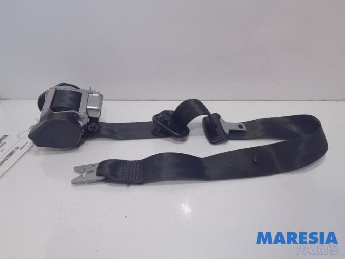 Renault - Megane Scenic - Front seatbelt, right