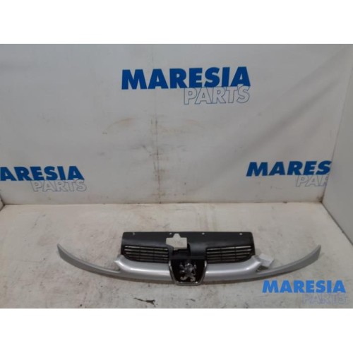 Peugeot - 206 - Grill