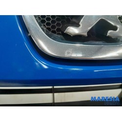 Peugeot - Expert - Grille