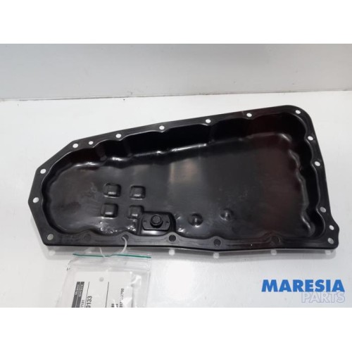 Renault - Scenic - Carterpan