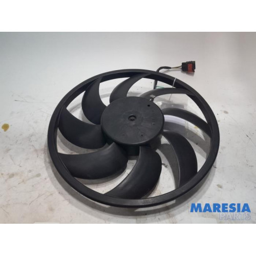 Peugeot - 206 - Fan motor