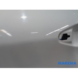 Peugeot - 208 - Tür 4-türig links hinten