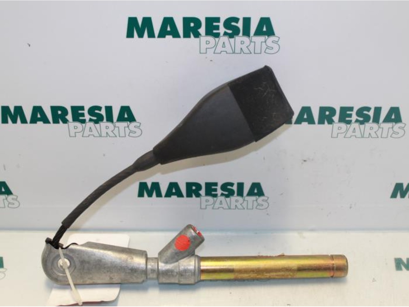 Renault - Megane Scenic - Gordelspanner links