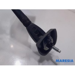 Peugeot - 107 - Antenna