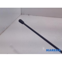 Peugeot - 107 - Antenna