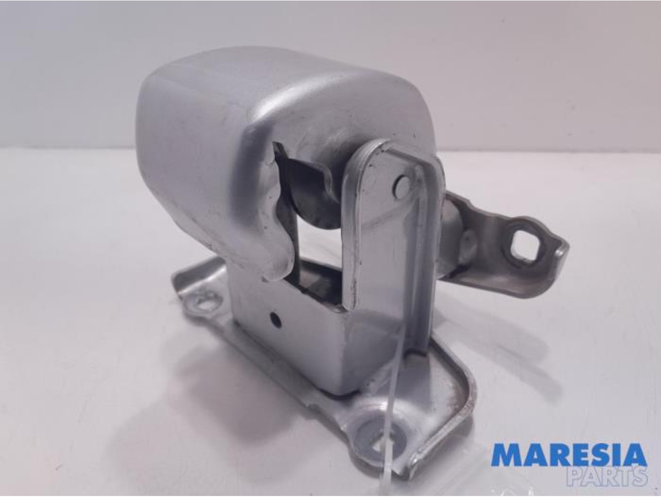 Fiat - Talento - Tailgate hinge