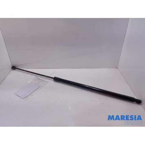 Fiat - Doblo - Rear gas strut, left