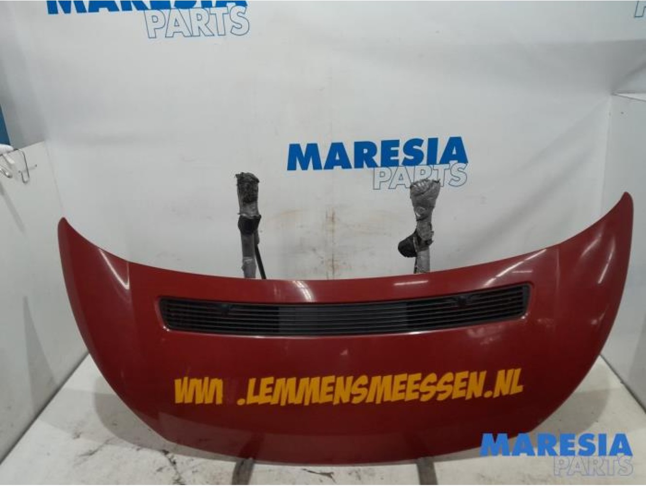 Fiat - Scudo - Motorhaube