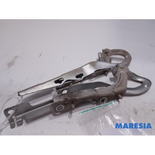 Peugeot - 207 - Bonnet Hinge