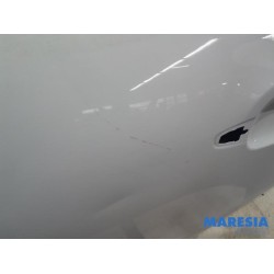 Citroen - C3 - Tür 4-türig links hinten