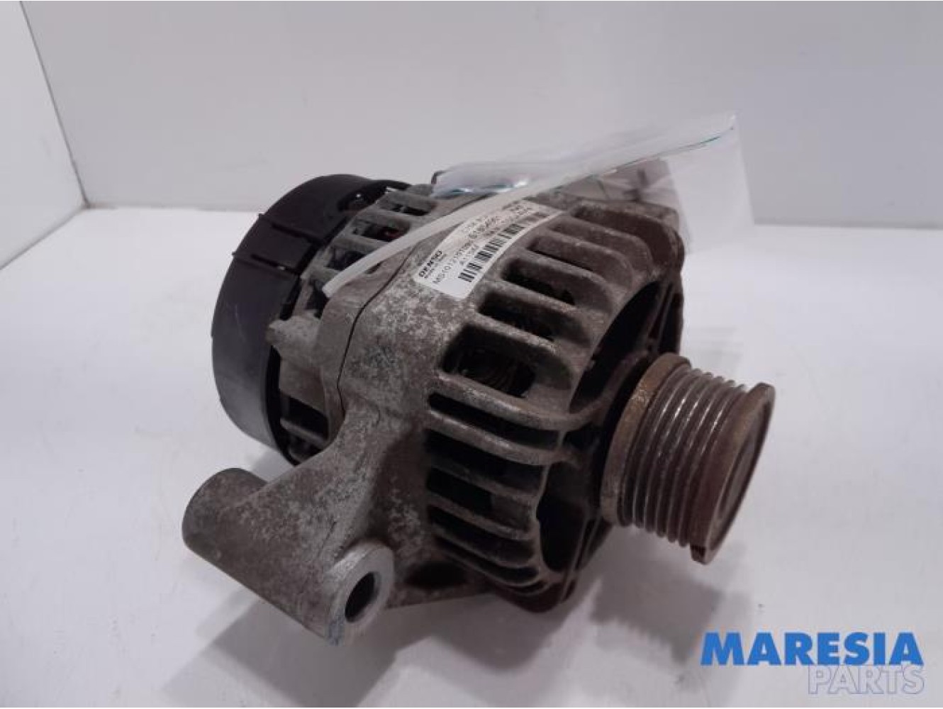 Fiat - Ducato - Dynamo