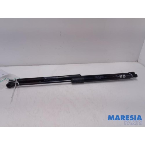 Citroen - C3 - Set of tailgate gas struts