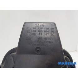 Citroen - C3 - Tank cap cover