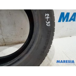 Fiat - Panda - Tyre