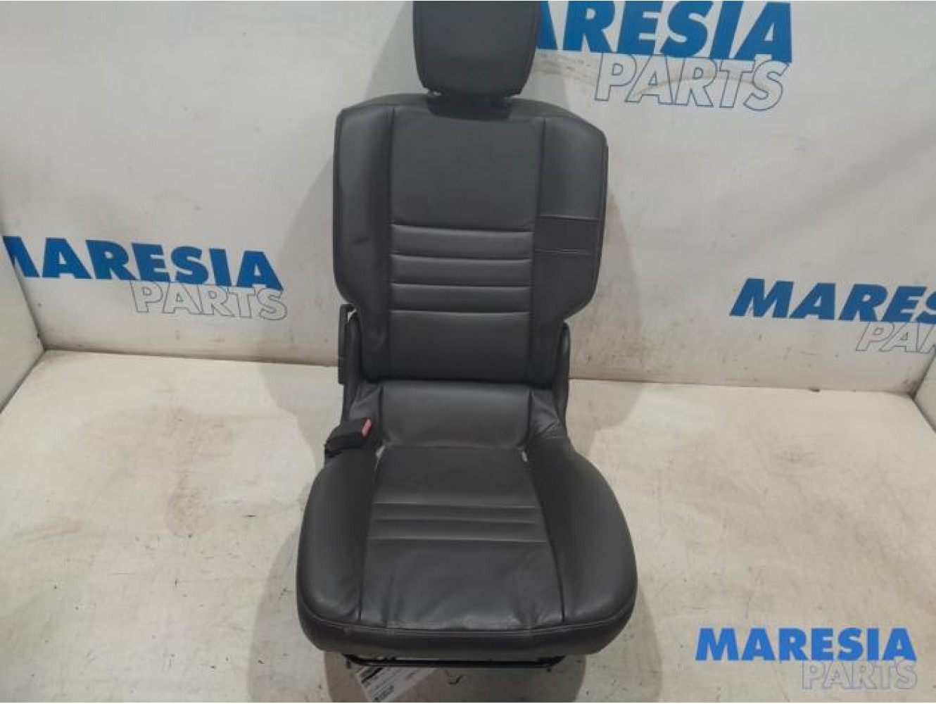 Renault - Scenic - Sitz hinten