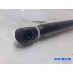 Peugeot - 107 - Gasdämpfer links hinten