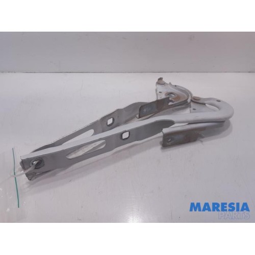 Citroen - Berlingo - Bonnet Hinge