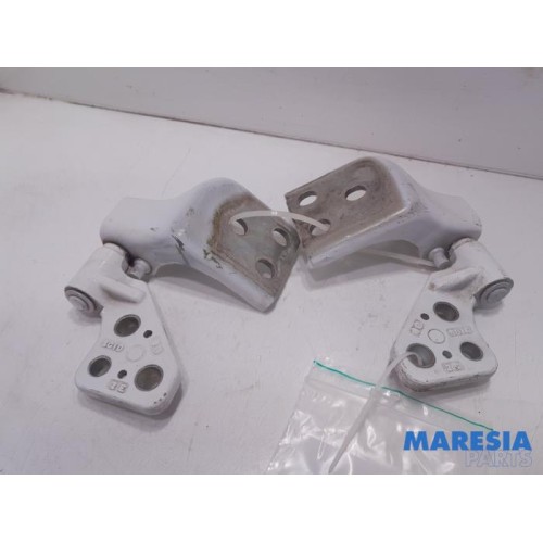 Citroen - Berlingo - Tailgate hinge