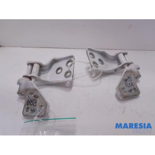 Citroen - Berlingo - Tailgate hinge