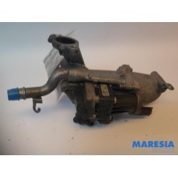 Citroen - DS3 - EGR Klep
