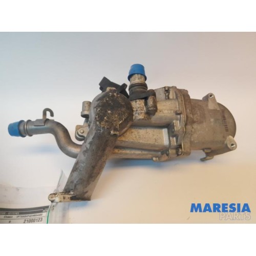 Citroen - DS3 - EGR Klep