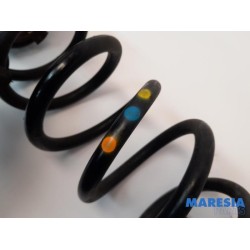 Alfa Romeo - Giulia - Rear coil spring