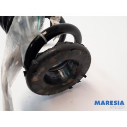 Alfa Romeo - Giulia - Rear coil spring