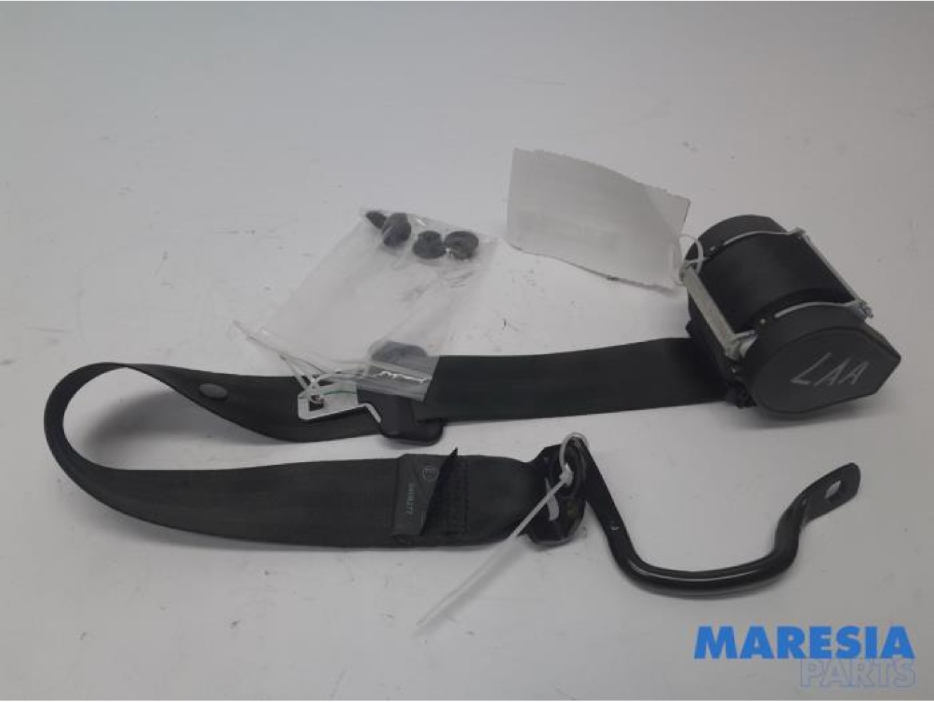 Renault - Scenic - Sicherheitsgurt links hinten