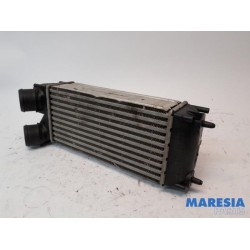 Peugeot - 3008 - Intercooler