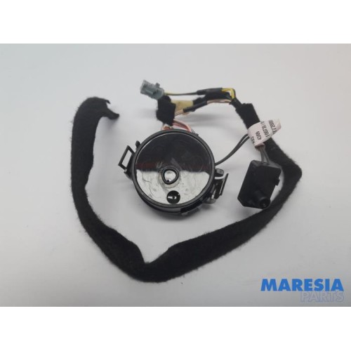Renault - Scenic - Rain sensor