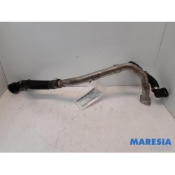 Alfa Romeo - Giulia - Radiator hose