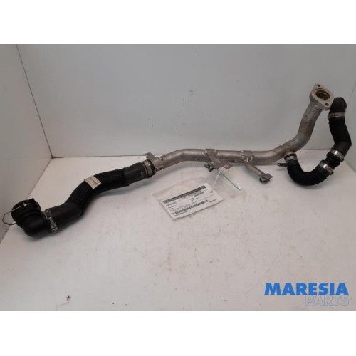 Alfa Romeo - Giulia - Radiator hose