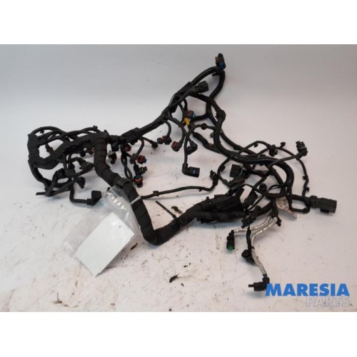 Alfa Romeo - Giulia - Wiring harness