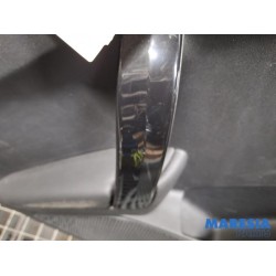Peugeot - 208 - Türverkleidung 4-türig links hinten