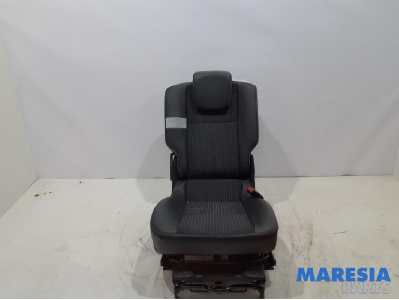 Renault - Scenic - Rear seat